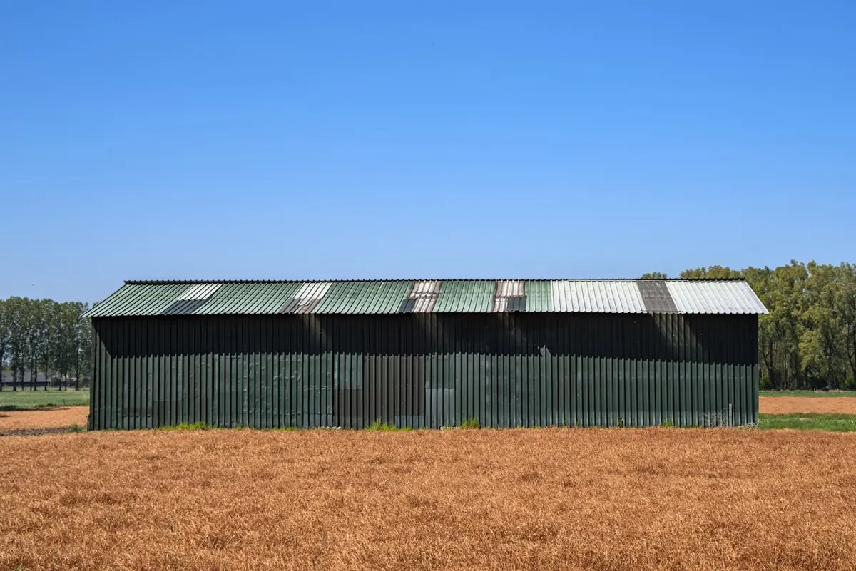 Poultry Control Sheds in Islamabad